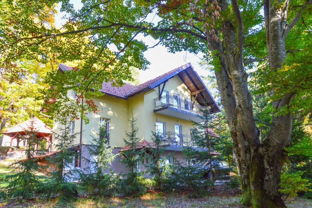 Vila Savinka ซลาตีบอร์ ภายนอก รูปภาพ
